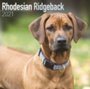 Rhodesian Ridgeback 2021 Wall Calendar - Book