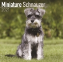 Miniature Schnauzer 2021 Wall Calendar - Book