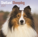 Shetland Sheepdog 2021 Wall Calendar - Book