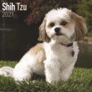 Shih Tzu 2021 Wall Calendar - Book