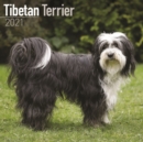 Tibetan Terrier 2021 Wall Calendar - Book