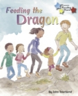 Feeding the Dragon - eBook