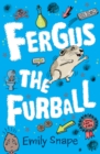 Fergus the Furball - eBook