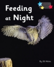 Feeding at Night : Phonics Phase 3 - Book