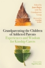 Grandparenting the Children of Addicted Parents : Experiences and Wisdom for Kinship Carers - Book