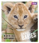 Animal Babies - Book