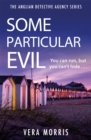 Some Particular Evil : The Anglian Detective Agency Series - Book