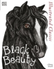 Illustrated Classic: Black Beauty - Book