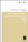 Employee Voice in Emerging Economies - Book