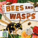 Bees and Wasps - Book