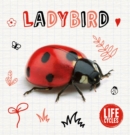 Ladybird - Book