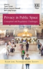 Privacy in Public Space : Conceptual and Regulatory Challenges - eBook