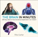 The Brain in Minutes - eBook