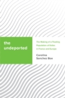 The Undeported : The Making of a Floating Population of Exiles in France and Europe - Book