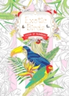 Exotic Birds US : Color by Numbers - Book