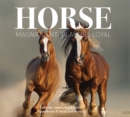 Horse : Magnificent, Playful, Loyal - Book