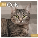Cats 365 Days Square Wall Calendar 2020 - Book