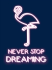 Never Stop Dreaming - Book