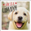 Love is a Labrador : A Lab-Tastic Celebration of the World's Favourite Dog - Book