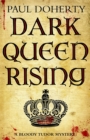 Dark Queen Rising - eBook