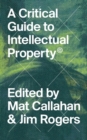 A Critical Guide to Intellectual Property - eBook
