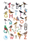 I Like Birds: An Alphabet of Birds Address Book - Book