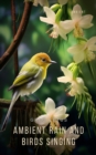 Ambient Rain and Birds Singing - eAudiobook
