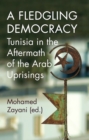 A Fledgling Democracy : Tunisia in the Aftermath of the Arab Uprisings - eBook