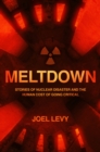 Meltdown : Stories of nuclear disaster and the human cost of going critical - eBook