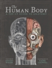 The Human Body : A Pop-Up Guide to Anatomy - Book