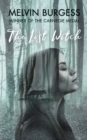 The Lost Witch - eBook