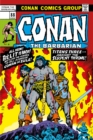 Conan The Barbarian: The Original Comics Omnibus Vol.4 - Book