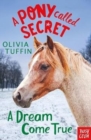 A Pony Called Secret: A Dream Come True - Book