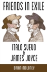 Friends in Exile: Italo Svevo and James Joyce - Book