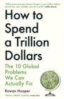 How to Spend a Trillion Dollars : The 10 Global Problems We Can Actually Fix - Book