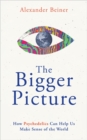 The Bigger Picture : How Psychedelics Can Help Us Make Sense of the World - Book