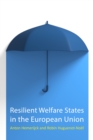 Resilient Welfare States in the European Union - eBook