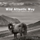 Wild Atlantic Way : Light on the water, shadows on the land - Book
