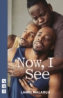Now, I See - eBook