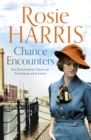 Chance Encounters - eBook