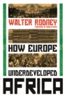 How Europe Underdeveloped Africa - Book
