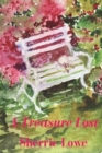 A Treasure Lost - Book