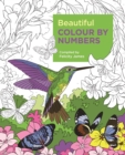 Beautiful Colour by Numbers - Book