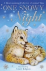 One Snowy Night - eBook