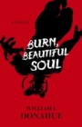 Burn, Beautiful Soul : A Novel - eBook