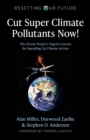 Resetting Our Future: Cut Super Climate Pollutants Now! : The Ozone Treaty's Urgent Lessons for Speeding Up Climate Action - Book