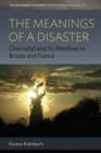 The Meanings of a Disaster : Chernobyl and Its Afterlives in Britain and France - eBook