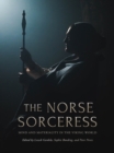 The Norse Sorceress : Mind and Materiality in the Viking World - eBook