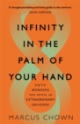 Infinity in the Palm of Your Hand : Fifty Wonders That Reveal an Extraordinary Universe - Book