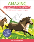 Amazing Painting by Numbers : With 30 Beautiful Images to Complete. Includes Guide to Mixing Paints - Book